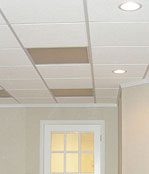 Basement ceiling tiles - West Des Moines and Fort Dodge
