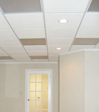 Basement Ceiling Tiles for a project we worked on in Cedar Falls, Iowa