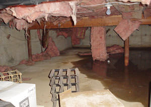 fiberglass insulation dripping off the ceiling of a crawl space in Ottumwa.