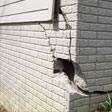 foundation walls cracked due to settlement in Des Moines