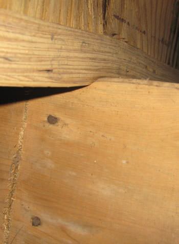 severe damage to a crawl space structure in a Ottumwa home