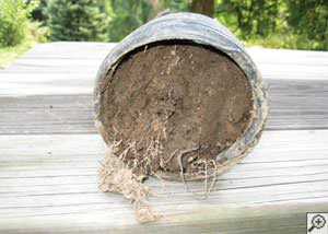clogged french drain found in Adel, Iowa